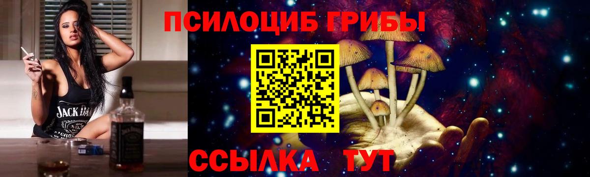 Димитровград  Галлюциногенные грибы мухоморы  Вход с VPN 